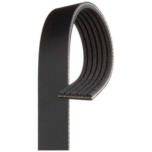 Cinghia poly gates 6pk1218 - cinghia,