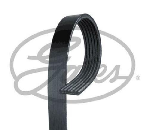 Cinghia gates 6pk1853 per - cinghia,